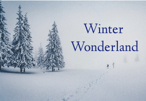  Winter Wonderland 